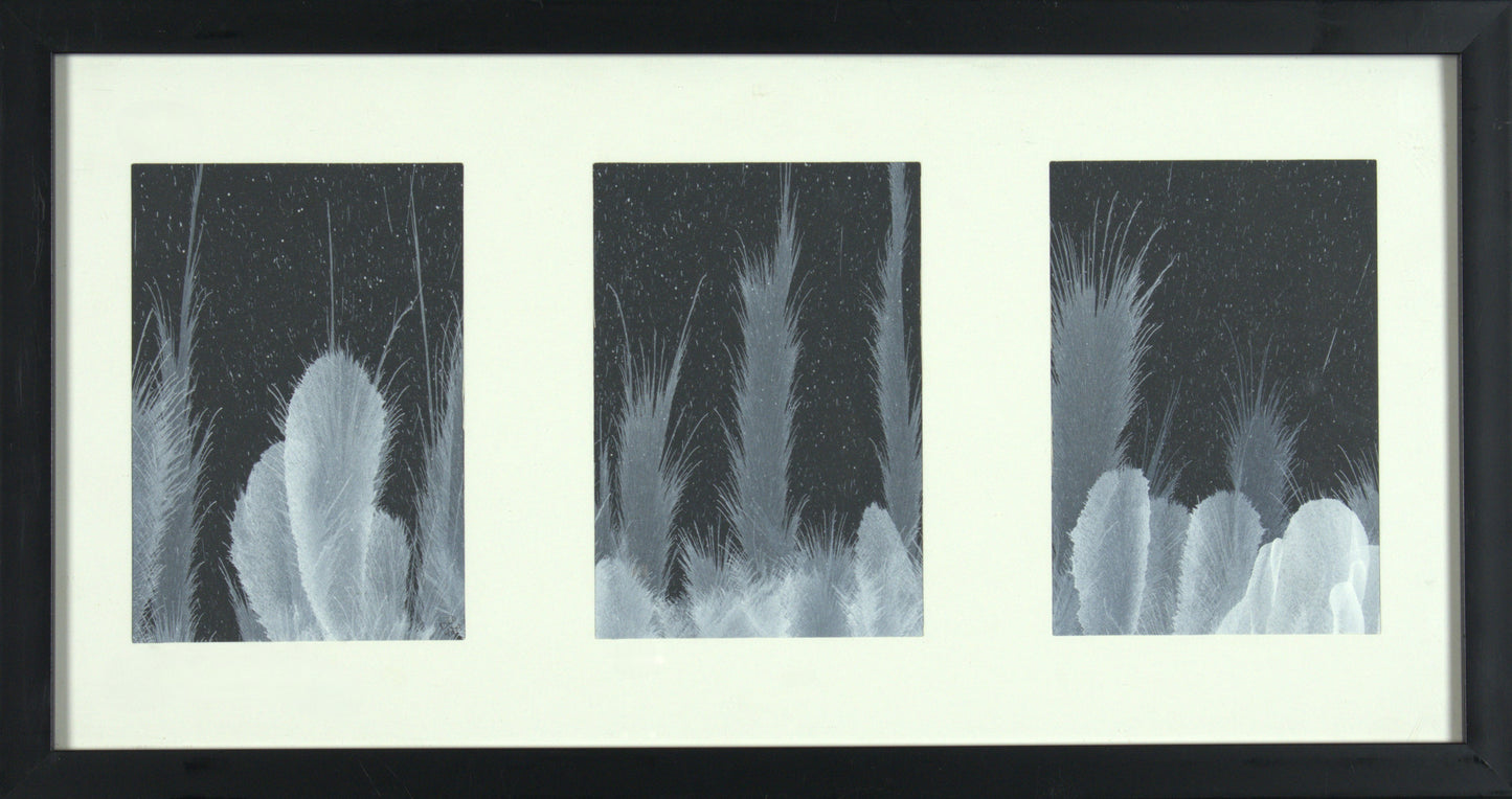 Gomeisa, Adhara & Wezen - Three 4.5"x6.5” Original Tempera Painting on Poster Paper in One 20.75”x11” Store Bought Frame