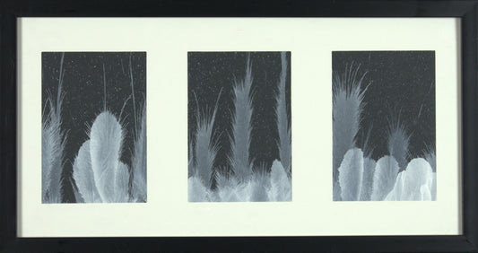 Gomeisa, Adhara & Wezen - Three 4.5"x6.5” Original Tempera Painting on Poster Paper in One 20.75”x11” Store Bought Frame
