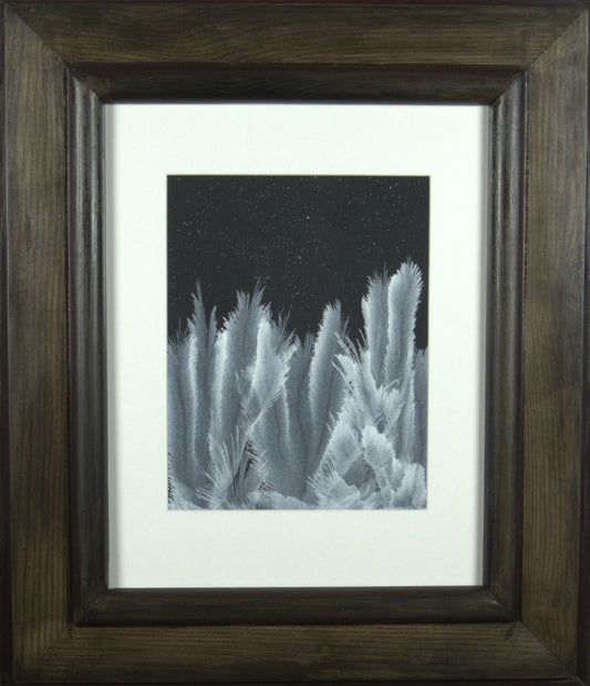 Procyon - 11”x14” Original Tempera Painting on Poster Paper in 24.5”x 29” Custom Wooden Frame